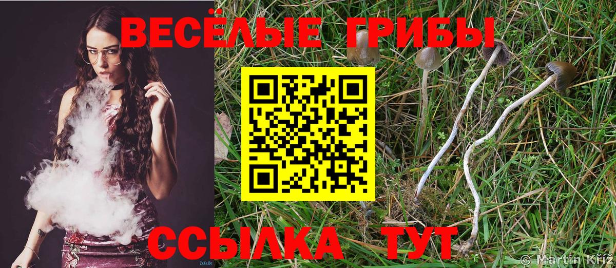Жуковский  Галлюциногенные грибы ЛСД  Вход с VPN 